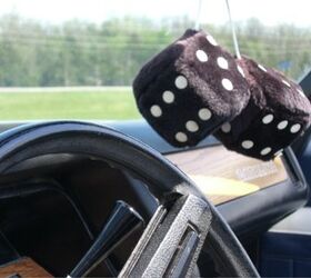 Michigan: Senate Considers Legalizing Fuzzy Dice