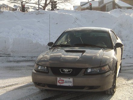 Ask the Best and Brightest Follow-Up: Snow + Mustang = OK