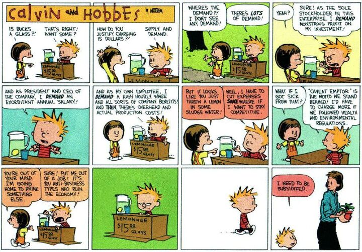 calvin and hobbes fifteen years ago