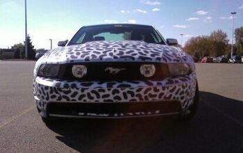 New Ford Mustang: Doesn't LaPerla Make Something Like That?