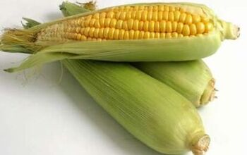 E85 Boondoggle of the Day: Corn Growers Raking It In
