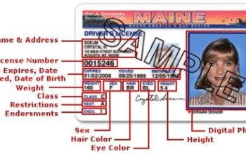 Maine's Lax License Laws