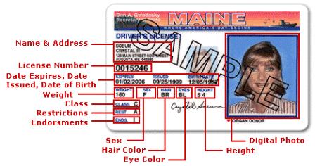 maines lax license laws