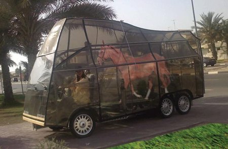 arabian greens put the horse behind the cart