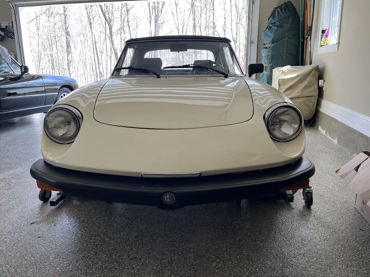used car of the day 1979 alfa romeo spider