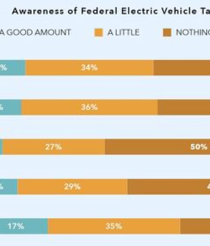 survey breaks down ev preferences by politics and ethnicity