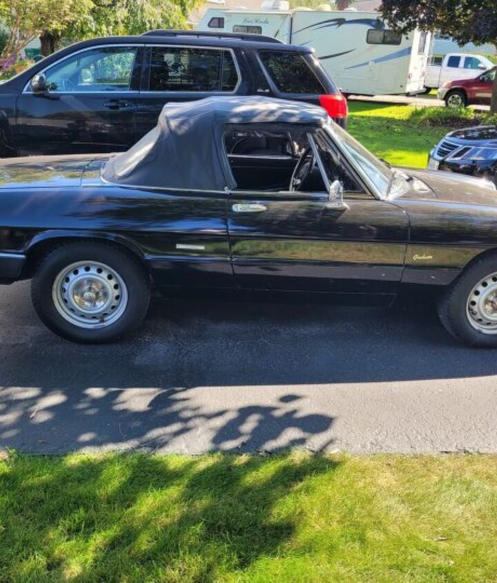 used car of the day 1986 alfa romeo spider graduate