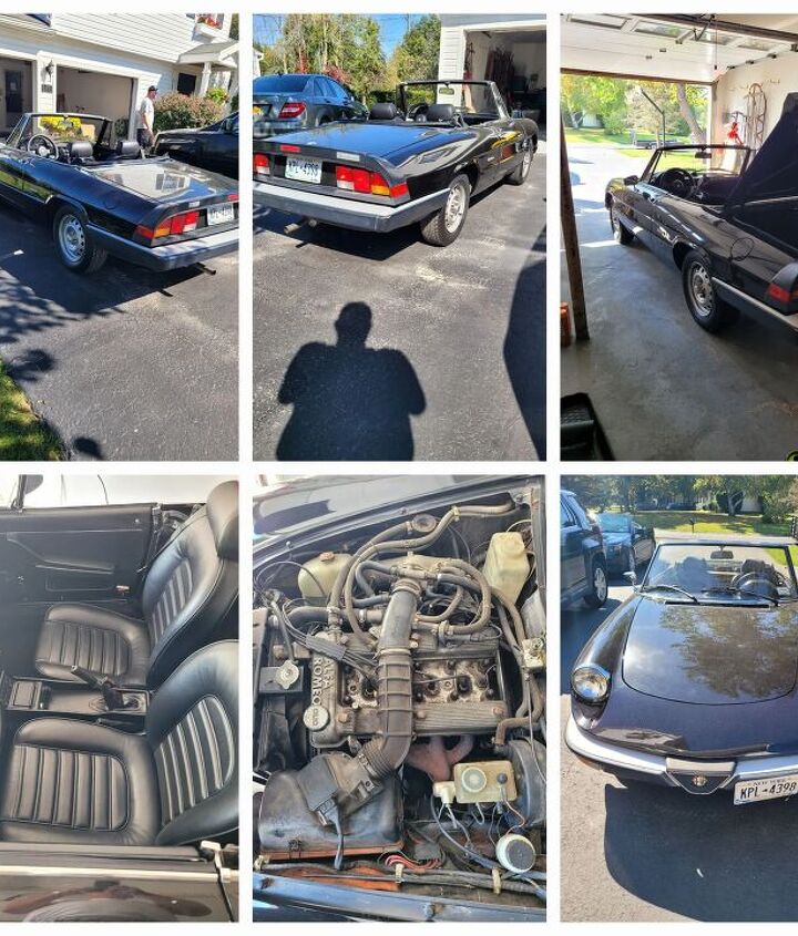 used car of the day 1986 alfa romeo spider graduate
