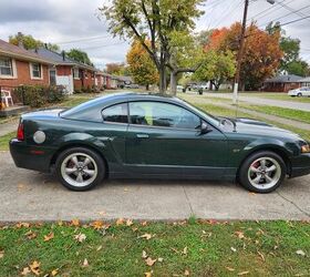 used car of the day 2001 ford mustang bullitt