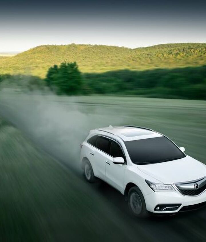 Photo credit: Ivan Kurmyshov / Shutterstock.com