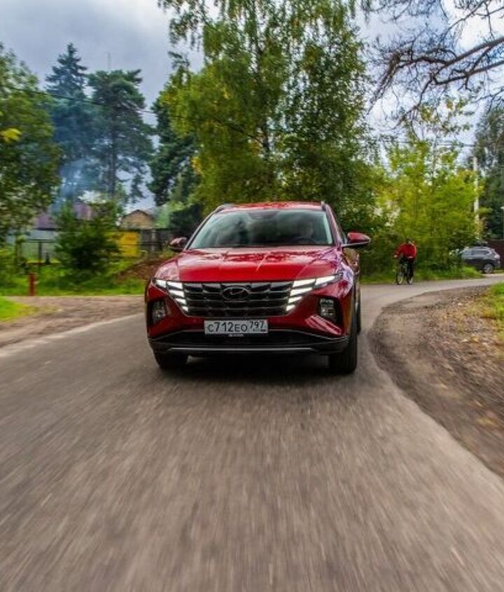 Photo credit: Roman Vyshnikov / Shutterstock.com