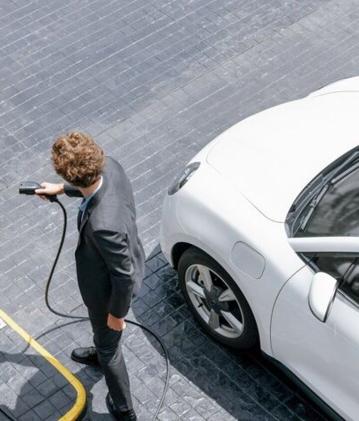 Photo credit: Owlie Productions / Shutterstock.com