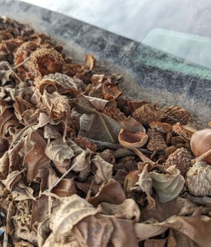 junkyard find 1995 cadillac sedan deville st tropez edition