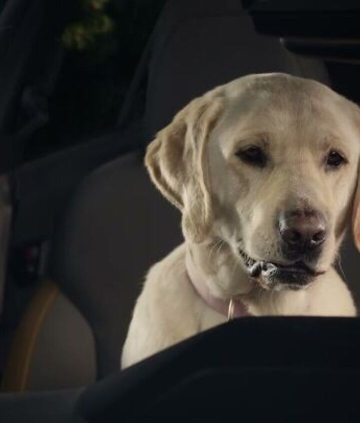 gone in thirty seconds super bowl lviii auto commercial pre game roundup