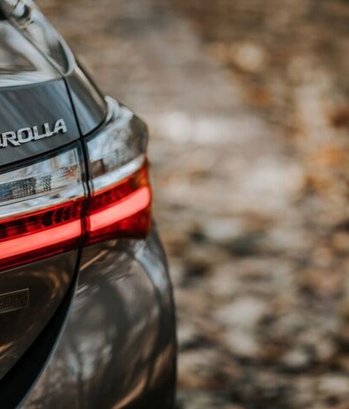 Photo credit: Honcharuk Andrii / Shutterstock.com