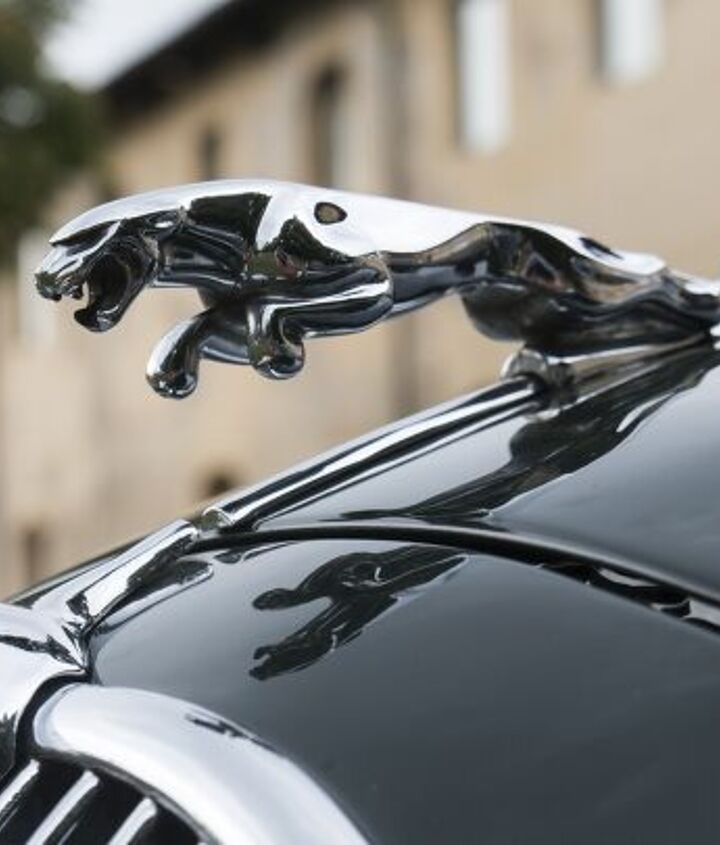 is jaguar inches away from death s door