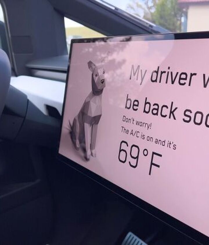 some tesla owners report dog mode failures