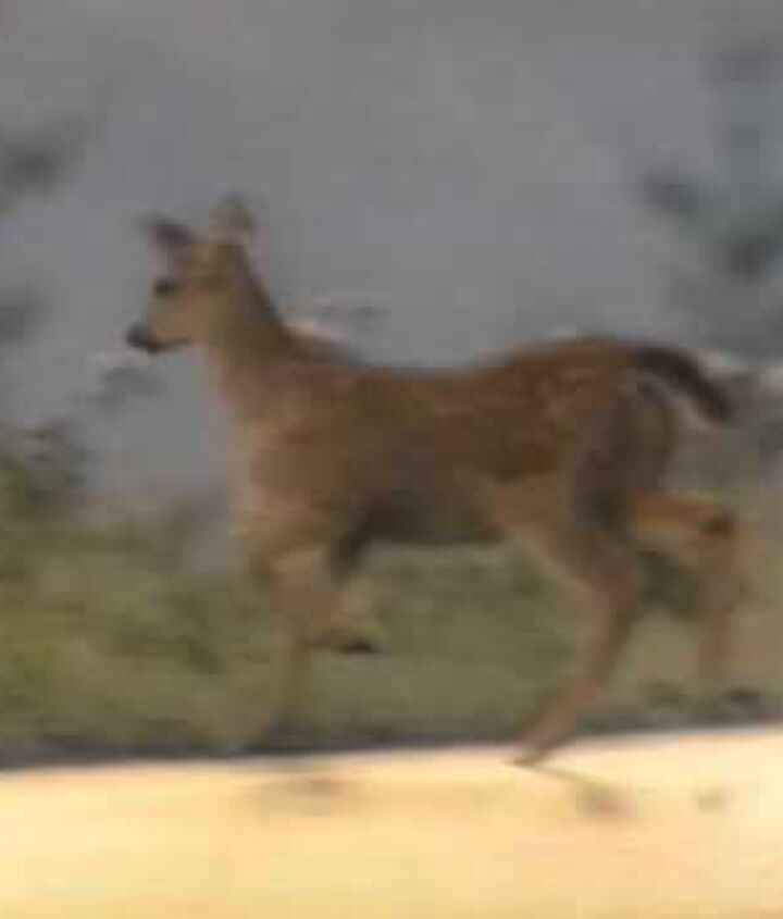 abandoned history cadillac s northstar v8 head bolts and gaskets aplenty part iv