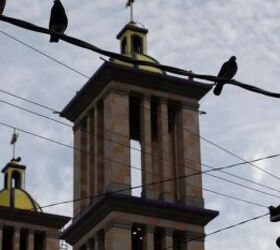 tijuana man burns tesla while trying to charge directly off power line connection