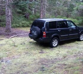 used car of the day 2003 suzuki xl7