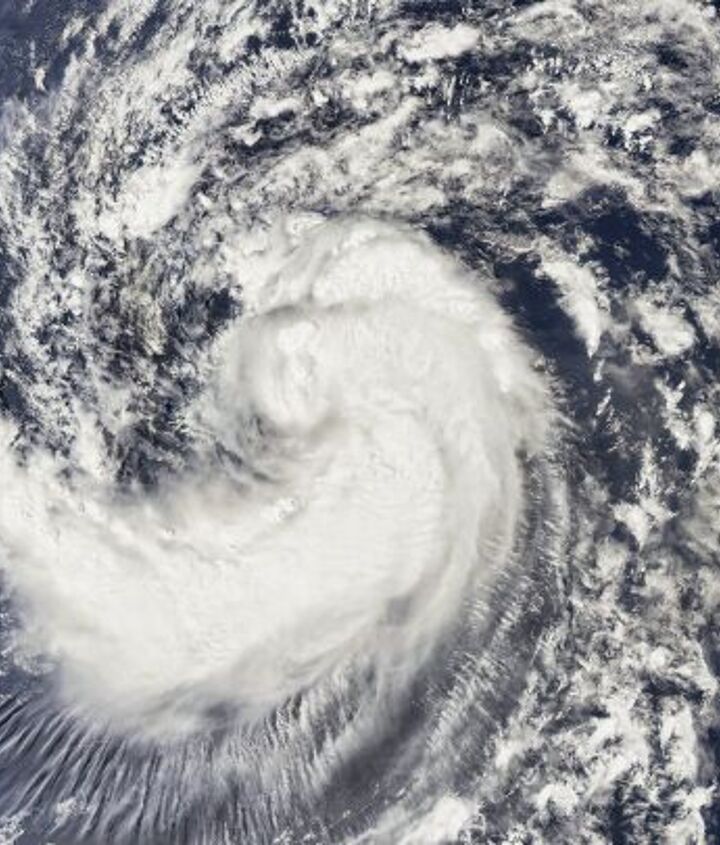 one florida kia dealer lost 672 cars to hurricane helene