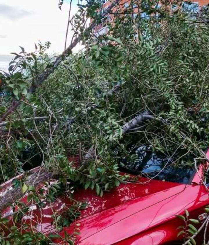one florida kia dealer lost 672 cars to hurricane helene