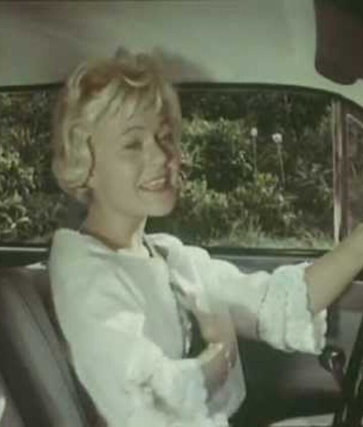 junkyard find pair of volvo amazons