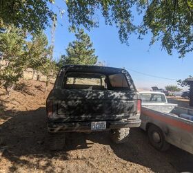 used car of the day 1979 ford bronco