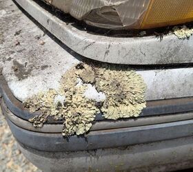 junkyard find 1986 mercury topaz gs lichen this car edition