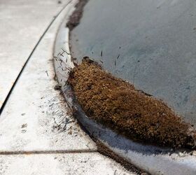 junkyard find 1986 mercury topaz gs lichen this car edition