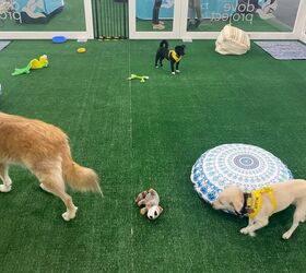 gallery 2024 los angeles auto show