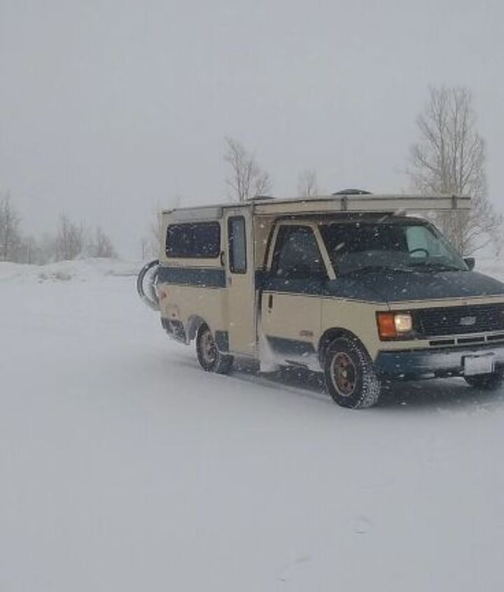 used-car-of-the-day-1989-provan-tiger-gt tacika.ru