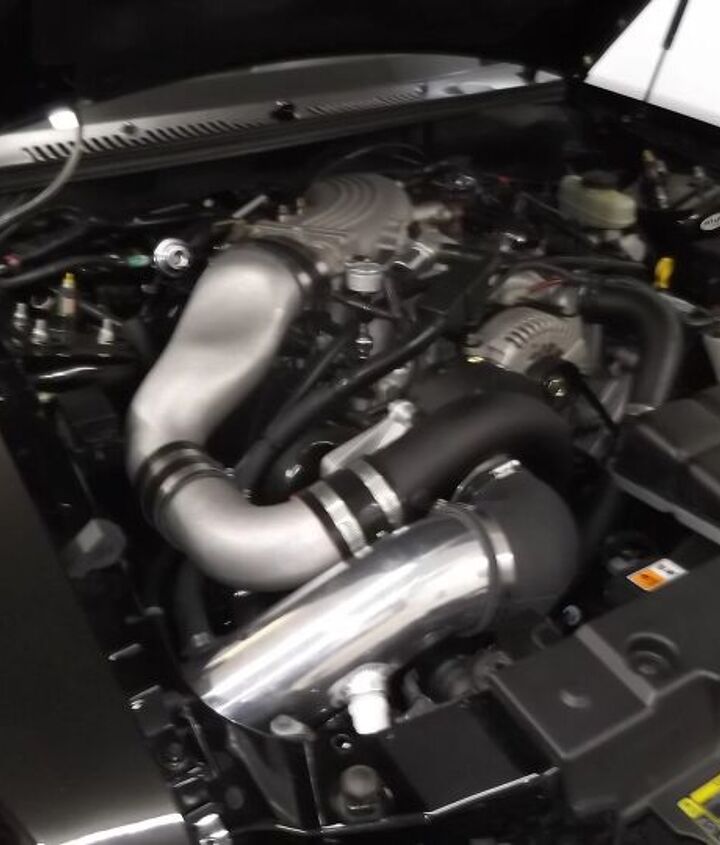 used-car-of-the-day-2001-ford-mustang-bullitt tacika.ru