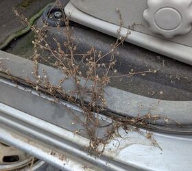 junkyard find nissan leafpocalypse in california