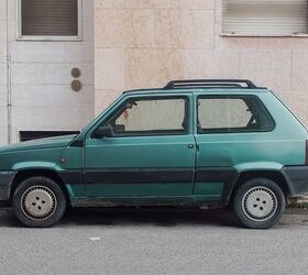 zoology vehicles named after bears, Fiat Panda