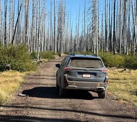 see more photos of the 2026 subaru forester wilderness