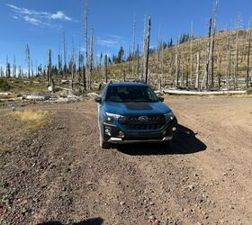 see more photos of the 2026 subaru forester wilderness
