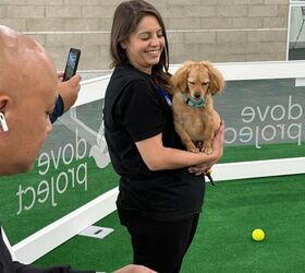 2025 los angeles auto show gallery part one