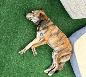 2025 los angeles auto show gallery part one