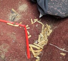 junkyard find 1981 pontiac phoenix 5 door hatchback