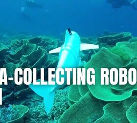 this robot fish collects ocean data