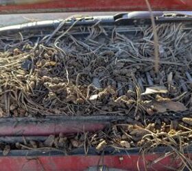 junkyard find 1986 chevrolet spectrum hatchback