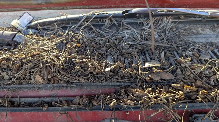 junkyard find 1986 chevrolet spectrum hatchback