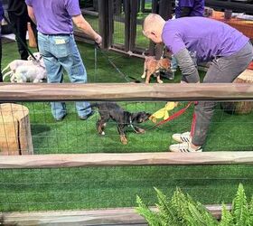 qotd what auto show side activity do you enjoy