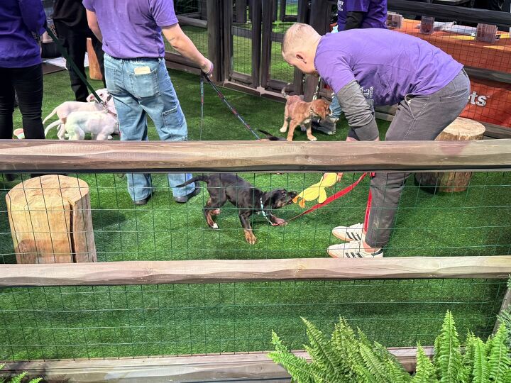 s-2026-chicago-auto-show-gallery tacika.ru