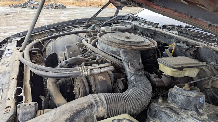 junkyard find 1982 pontiac firebird s e autoform convertible 2 seater
