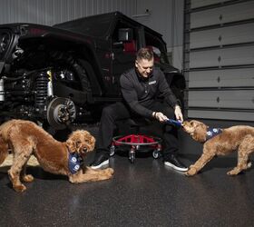 mopaw from mopar means people who love cars can love dogs too