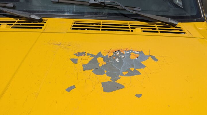 junkyard find 2000 jeep cherokee sport freedom edition