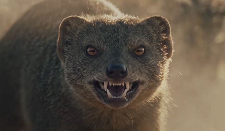 gm teases 8 3 liter mongoose turbo diesel v8
