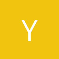 Yellow_04